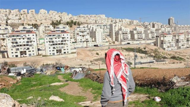 ترحيب فلسطيني وعربي ودولي بقرار مجلس الأمن المناهض للاستيطان