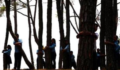 طلاب نيباليون يحاولون تحطيم الرقم القياسي بأكبر تجمع لعناق الأشجار