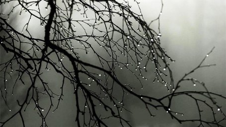 طقس الاسبوع