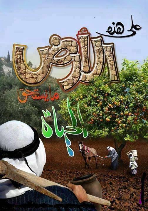 الأجندة المحلية في نشرة صباح  فلسطين