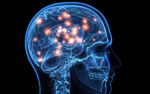 حذار: تأثير الدهون لا يقتصر على جسمك بل يطال.. دماغك