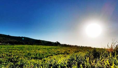 الطقس: درجات الحرارة أعلى من معدلها