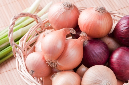 للبصل .. فوائد عديدة 