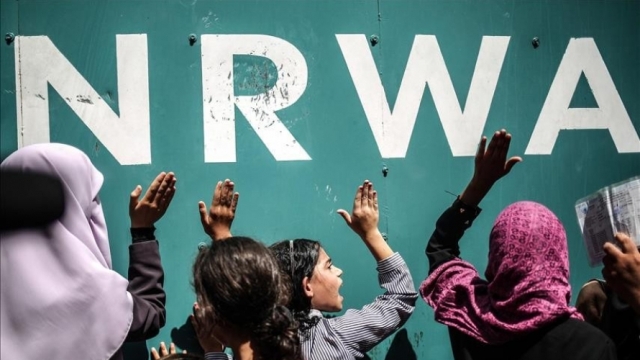 عن اللاجئين و