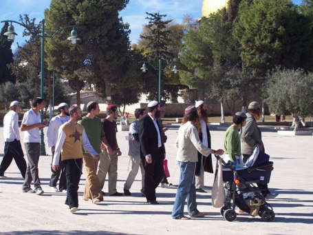 بحراسة مشددة... مستوطنون يقتحمون المسجد الأقصى المبارك