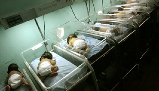 مولود كل 10 دقايق في غزة