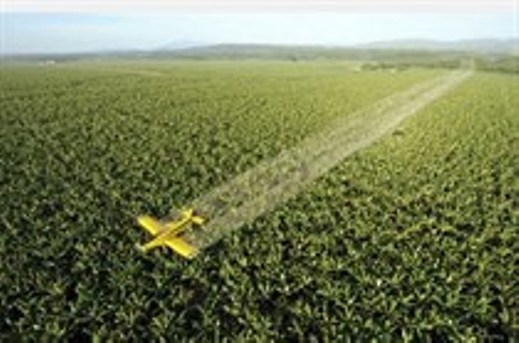 الصحة العالمية: الاحتلال يستخدم مبيدا للحشرات يسبب السرطانات