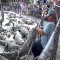 بالفيديو.. تمساح يطبق فكيه على يد مدربه 