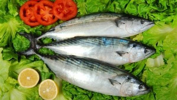 دراسة: السمك يساعد في الإقلاع عن التدخين