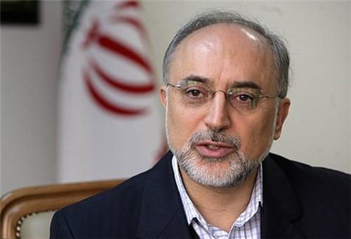 صالحي يؤكد استعداد طهران لعقد اتفاقية إقليمية للسلامة النووية