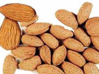 مقدار كف يد من اللوز يقي من الكلسترول ويزيد من حرق الدهون