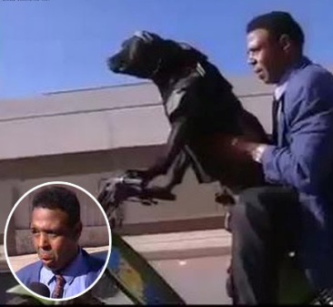 ترك كلبه يقود دراجته النارية