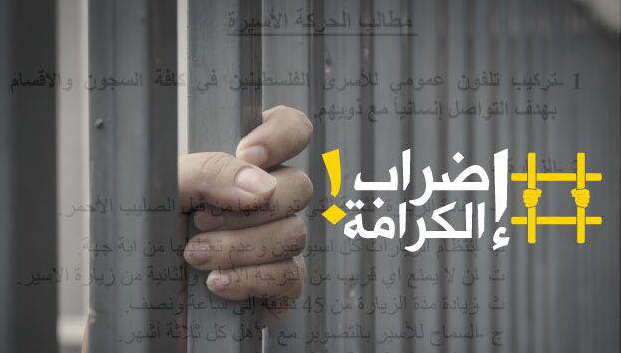 بالماء والملح.. والإرادة