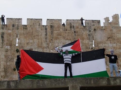 الأجندة المحلية في نشرة صباح  فلسطين