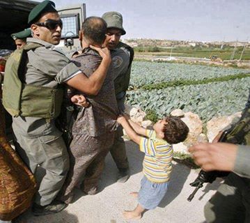 الاحتلال يعتقل 12 مواطنا في الضفة اليوم