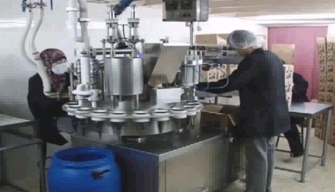 113 شركة جديدة في محافظات الضفة الغربية