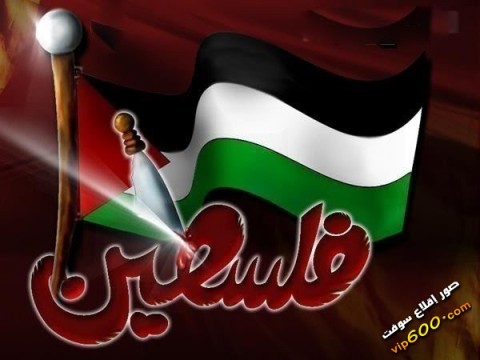 الأجندة المحلية في نشرة صباح  فلسطين