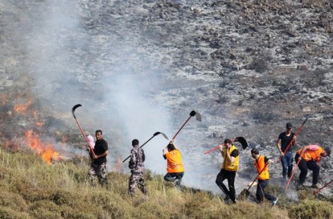 حريق كبير بمئات الأشجار غرب جنين