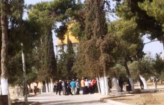137 مستوطناً يقتحمون المسجد الأقصى المبارك