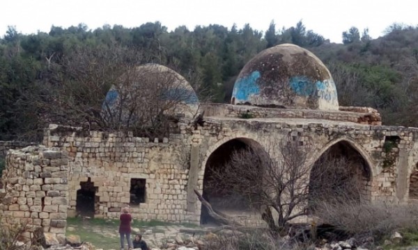 مستوطنون يدنسون مقام النبي يوشع في صفد