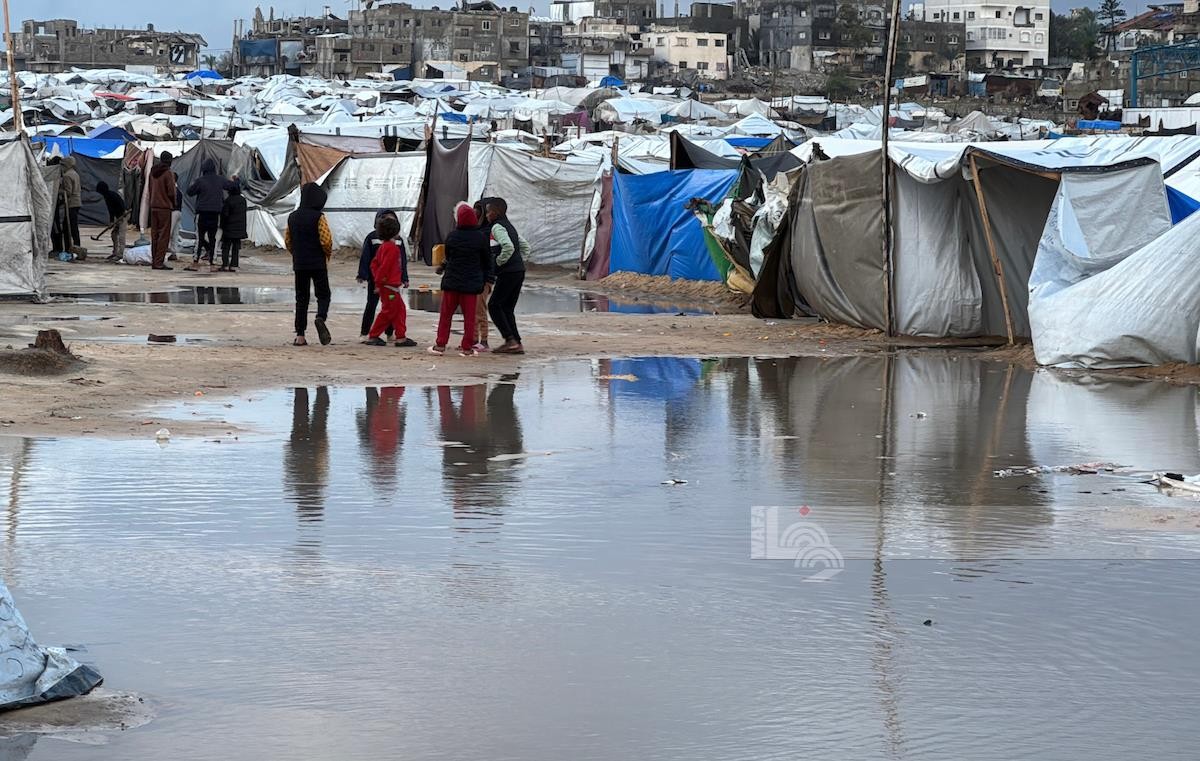 WafaImage - 2025-12-29T090428.166.jpg-d6f255a7-6d01-4f54-b772-301a3f39ceea.jpg