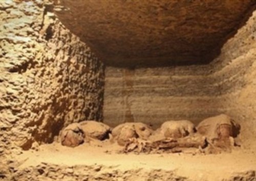 اكتشاف بقايا عظمية في مقبرة تعود لفترة الاسكندر الاكبر