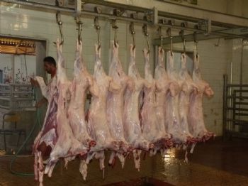 تكية أم علي في الأردن تساعد الفقراء 