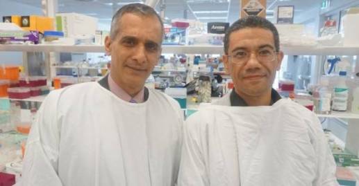 اكتشاف البروتين المسبب لتليف الكبد