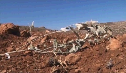 الاحتلال يقتلع 50 شتلة زيتون في بلدة الخضر