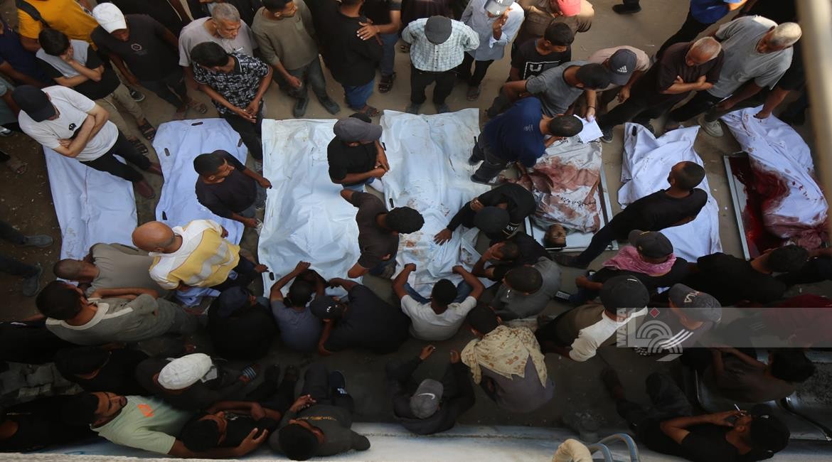 WhatsApp Image 2025-08-21 at 11.55.31.jpeg-6435e393-34f7-4121-ac78-e416022c8b89.jpeg-aac3d9d4-8142-420a-8280-603cc1cef95e.jpeg