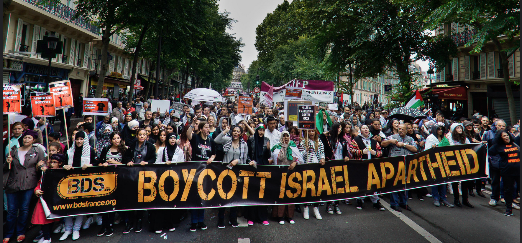 BDS-France.png