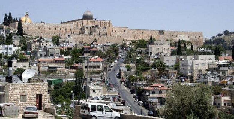 thumb.jpg