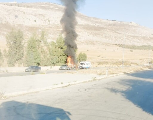 الجرمق الخردلي.jpg