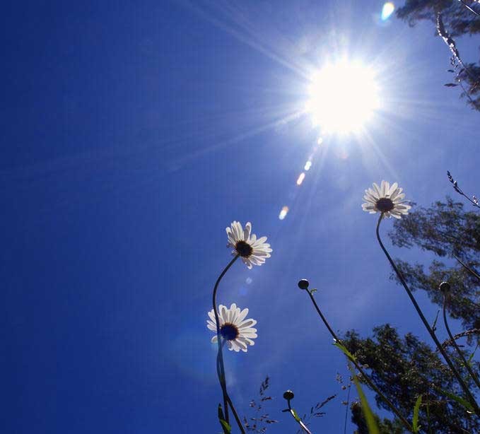 اجواء حارة.jpg