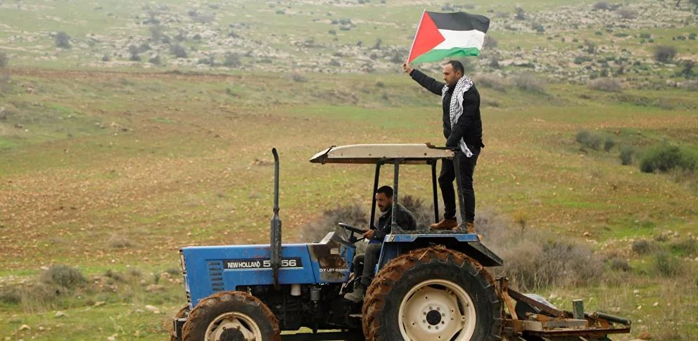التقاط.JPG