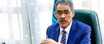 ضياء رشوان.jpeg