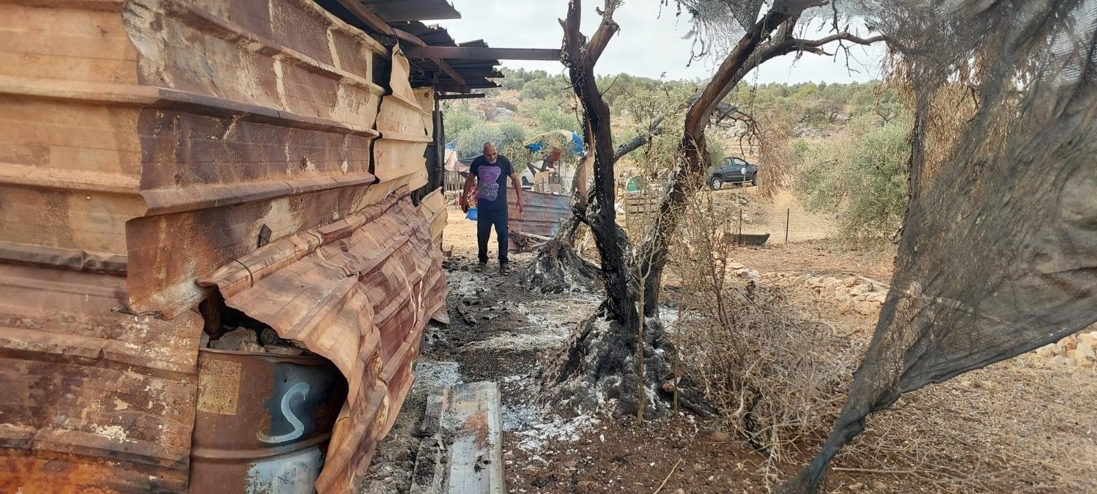 حرق المستوطنين.jpg