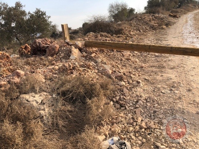 775-1604049484-jpg-1604049484.wm (1).jpg