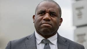 ديفيد لامي.jpg