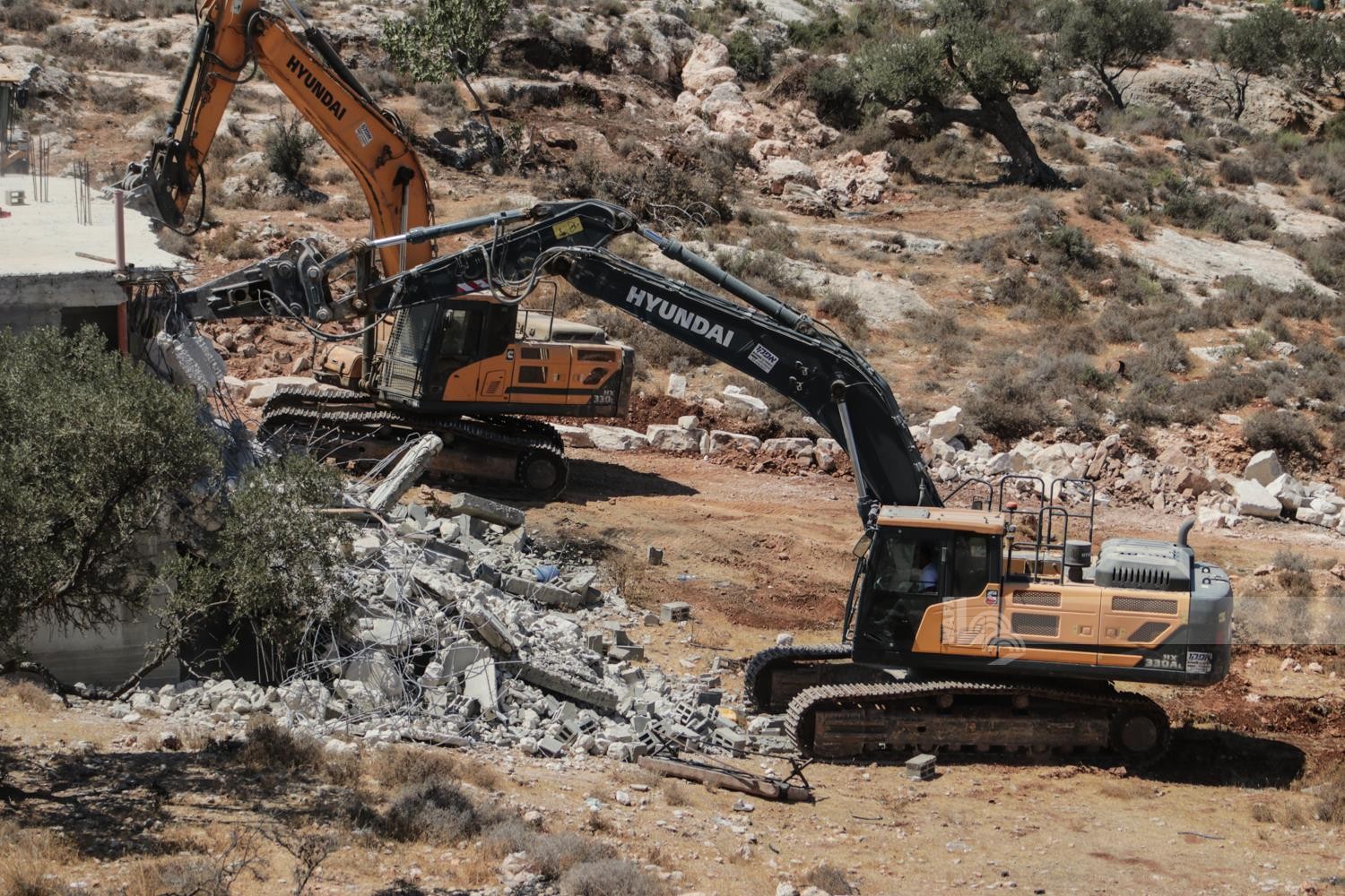 WafaImage - 2026-01-12T102514.203.jpg-9942c326-ebf5-4810-96a7-4773661754d5.jpg