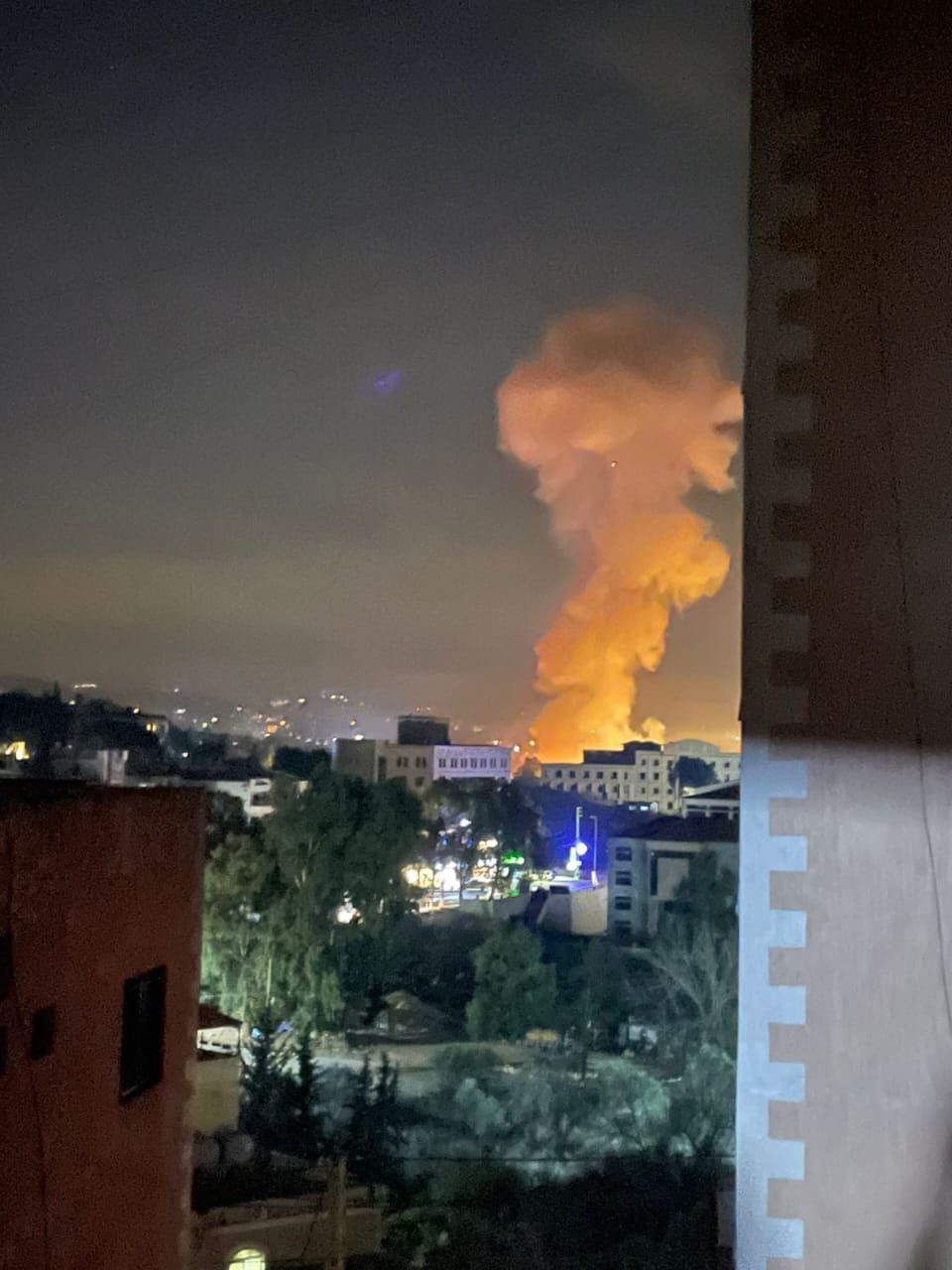 WhatsApp Image 2025-01-28 at 19.34.34.jpeg